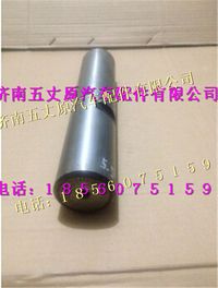 陜汽德龍新M3000轉向節(jié)主銷