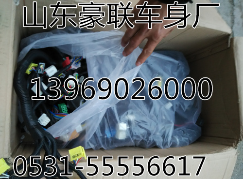 陕汽德龙F3000驾驶室线束总成底盘线厂家价格图片,陕汽德龙F3000驾驶室线束总成底盘线厂家价格图片,山东豪联车身制造厂