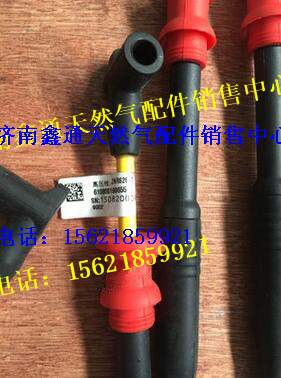 濰柴WP7天然氣發(fā)動機配件高壓線總成/610800190655