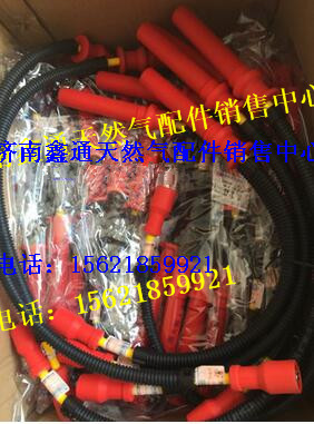 612600190948,潍柴WP10LNG CNG高压点火线,济南鑫通天然气销售中心
