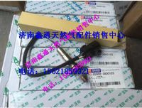 玉柴天然氣癢傳感器