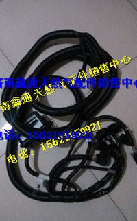 濰柴LNG氣體機ECM線束