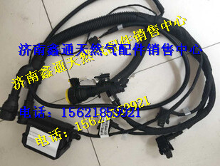 潍柴气体机ECU线束/612600191127