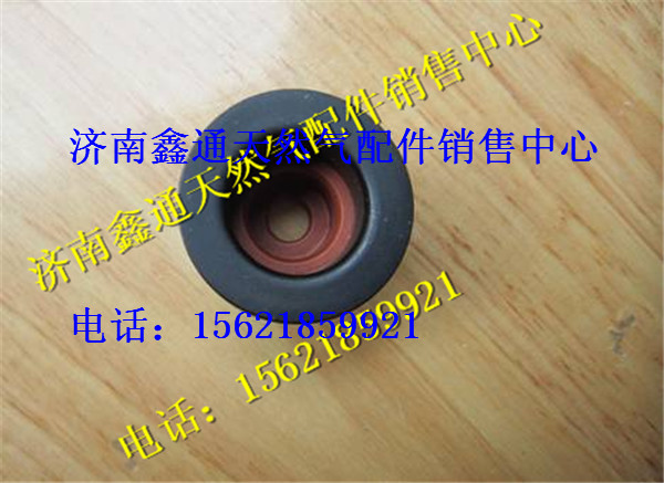 D04-107-30,上柴D6114天然气气门油封,济南鑫通天然气销售中心