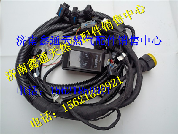 濰柴天然氣發動機ECU線束/612600190484