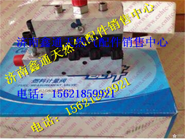 濰柴天然氣計量閥/610800190031