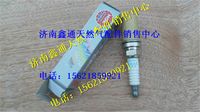 VG1560080701,重汽天然气火花塞,济南鑫通天然气销售中心