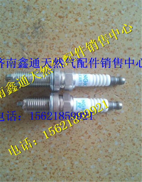 上柴天然氣火花塞/T89-002-03