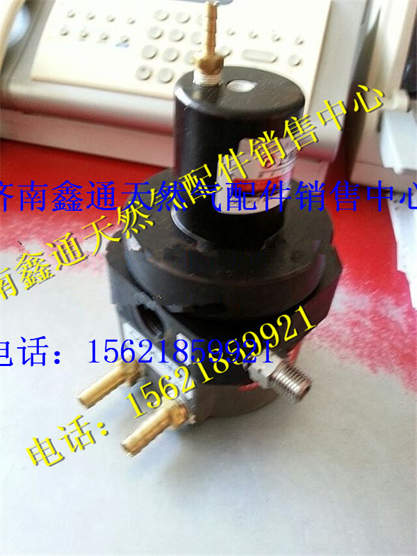 上柴天然氣減壓器/T88-007-04