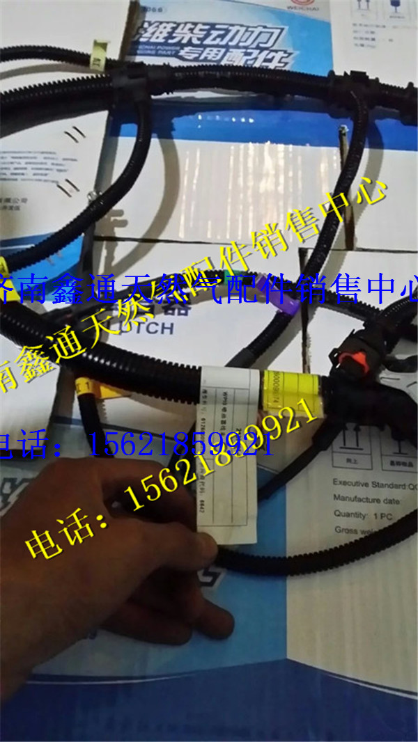 612600090374,潍柴WP10喷油器线束,济南鑫通天然气销售中心