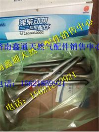 潍柴WP12发动机配件进排气门