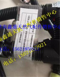 潍柴WP12发动机线束总成
