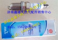 濰柴動力天然氣發動機火花塞