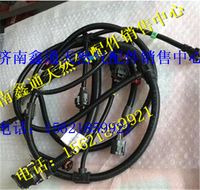 濰柴發動機傳感器線束