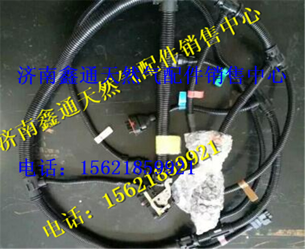 濰柴發(fā)動機(jī)國三噴油器線束總成/612600090374
