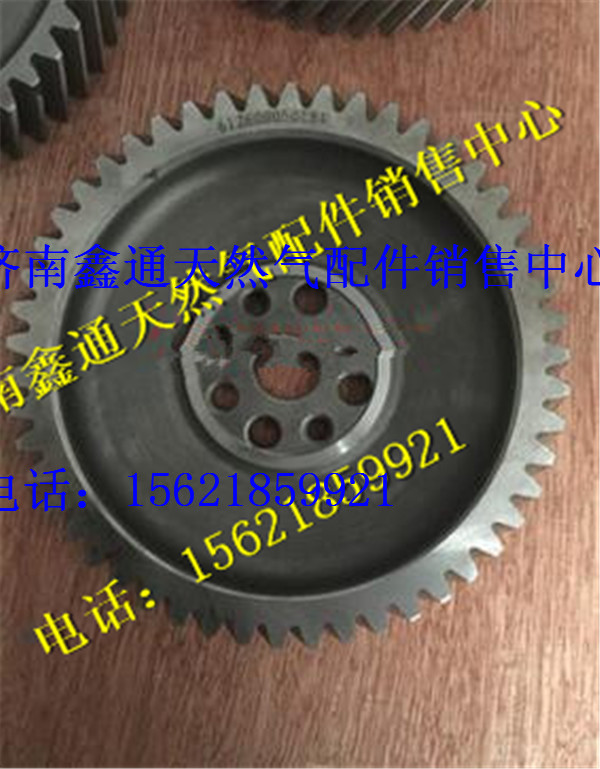 濰柴發動機配件凸輪軸正時齒輪/612600050184