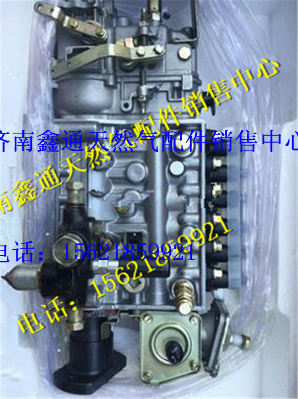 濰柴發動機噴油泵/612600081135
