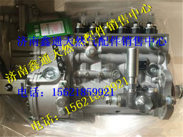 612601080376,潍柴发动机喷油泵,济南鑫通天然气销售中心