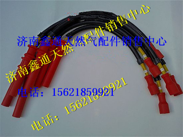 濰柴天然氣發(fā)動(dòng)機(jī)高壓線/612600190948