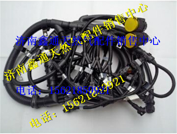 612600190736,潍柴天然气发动机线束,济南鑫通天然气销售中心