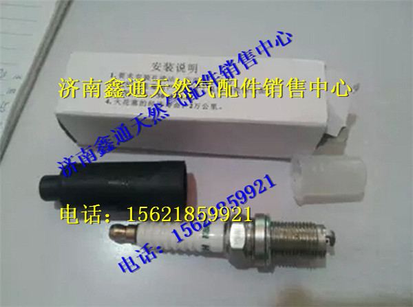 南充天燃气发动机火花塞/K8RTPP