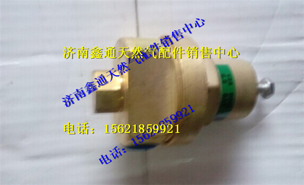 濰柴天然氣發(fā)動機高壓線/612600190300