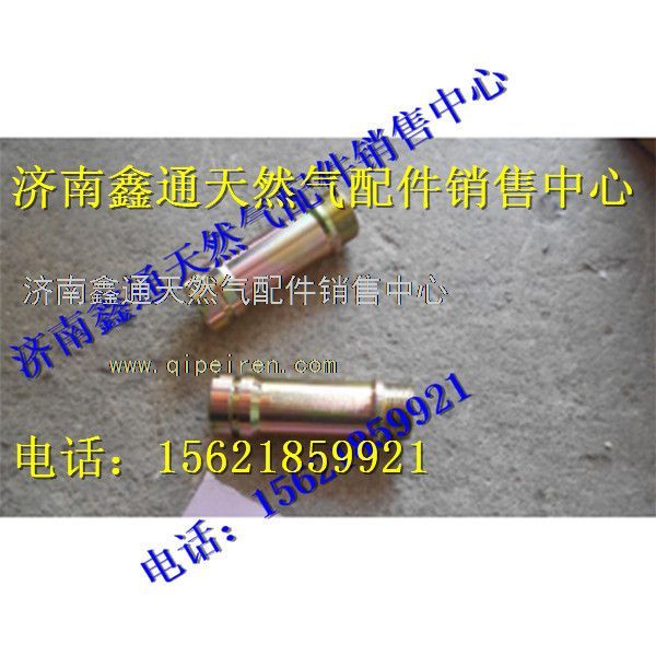 重汽天然氣點(diǎn)火線圈襯套/VG1238040104