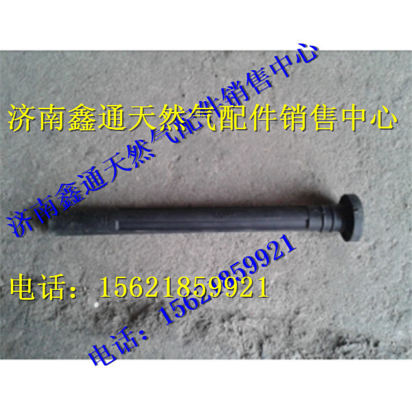 重汽天然氣發(fā)動(dòng)機(jī)點(diǎn)火線圈膠套/VG1238080017