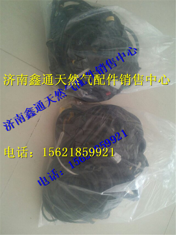 VG1092090052,重汽天然气发动机线束,济南鑫通天然气销售中心
