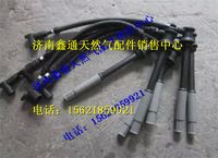 玉柴天然气高压导线