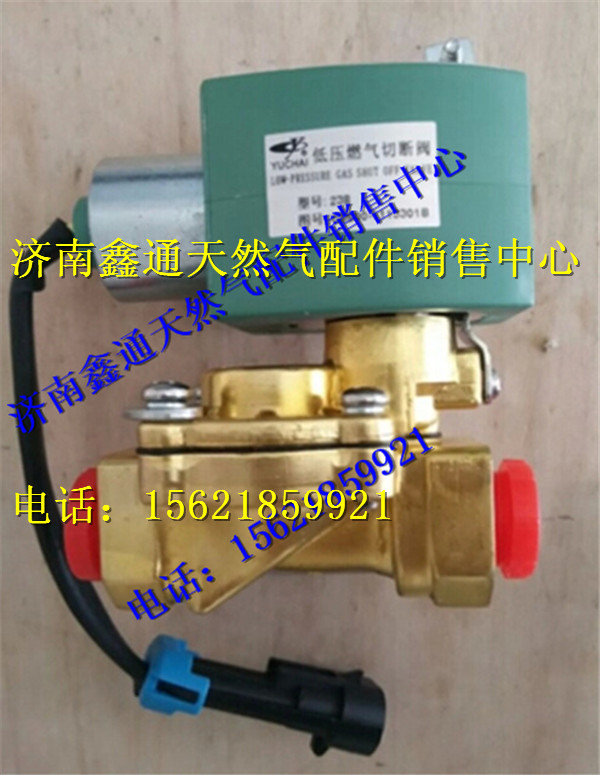 玉柴天然气低压燃料切断阀/G6600-1113301B