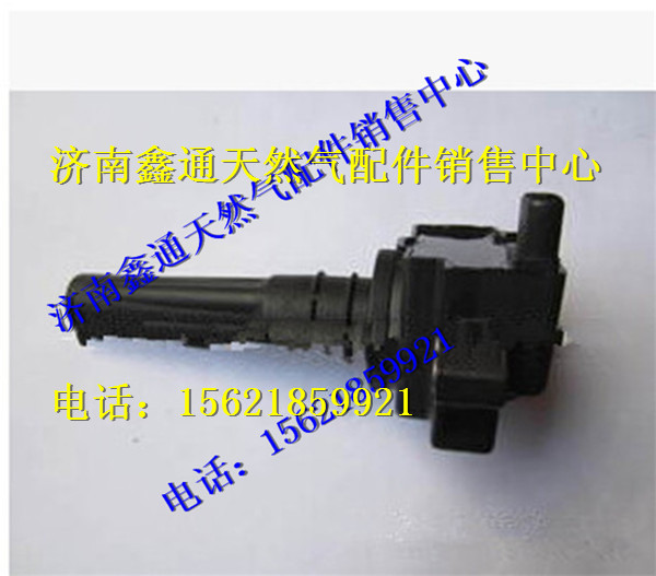 玉柴天然氣點(diǎn)火線圈/J5700-3705063
