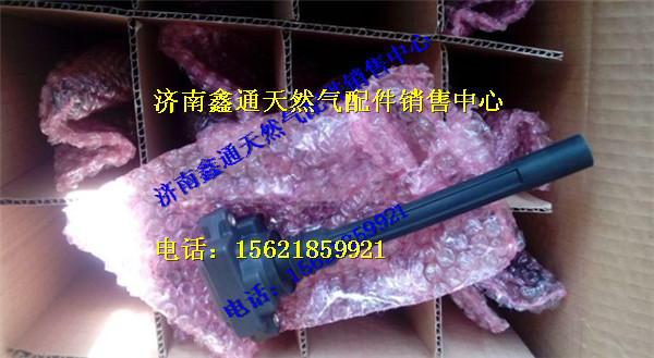 玉柴天然氣點(diǎn)火線圈組件/MKA00-3705060C