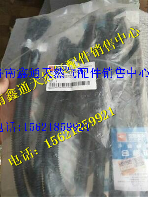 玉柴天然气发动机高压导线图1
