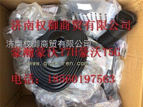 712W32620-0034,重汽新斯太尔左右仪表面罩组件WG1682167010WG1682168184,济南权御进出口有限公司