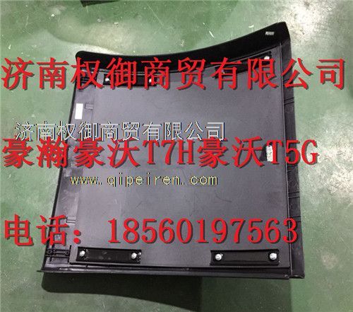 WG9719950201,重汽新斯太尔左右仪表面罩组件WG1682167010WG1682168110,济南权御进出口有限公司