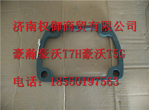 WG9725520115,重汽新斯太尔左右仪表面罩组件WG1682167010WG1682167995,济南权御进出口有限公司