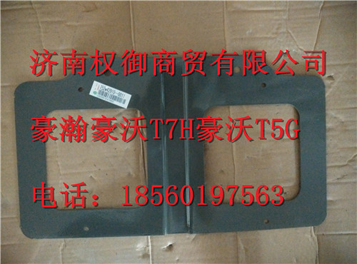 752W42910-0011,重汽新斯太尔左右仪表面罩组件WG1682167010WG1682167932,济南权御进出口有限公司