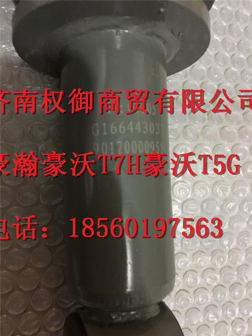 WG1664430310,重汽新斯太尔左右仪表面罩组件WG1682167010WG1682167841,济南权御进出口有限公司