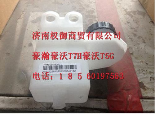 711W51501-6060,重汽新斯太尔左右仪表面罩组件WG1682167010WG1682167498,济南权御进出口有限公司