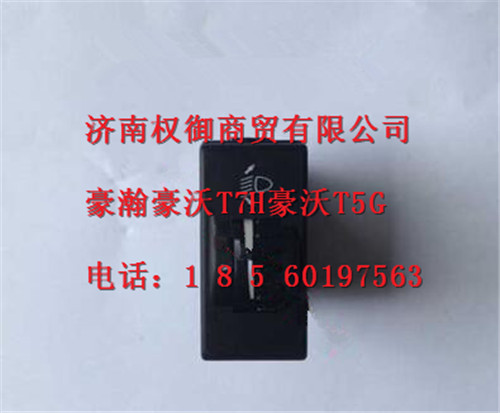 WG9918586009,重汽新斯太尔左右仪表面罩组件WG1682167010WG1682167495,济南权御进出口有限公司