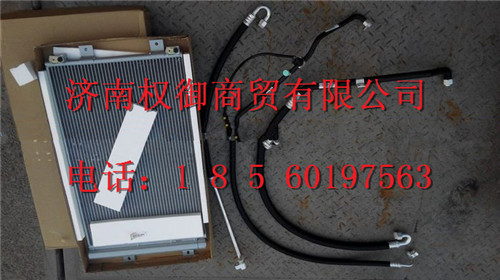 WG1684821034,重汽新斯太尔左右仪表面罩组件WG1682167010WG1682167212,济南权御进出口有限公司