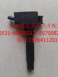 DQR2245-DM   ,潍柴LNG天然气发动机博世系统点火线圈        ,济南鑫达重卡汽车配件有限公司