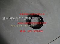 重汽豪沃轻卡配件半轴油封