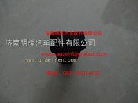 重汽豪沃轻卡配件喇叭转换开关