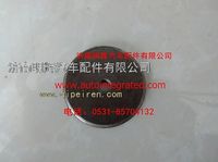 重汽豪沃轻卡配件主销盖