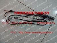 重汽豪沃轻卡配件天线