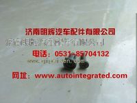 重汽豪沃（HOWO）轻卡配件卡扣(车门内衬板上角用)