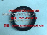 重汽豪沃（HOWO）轻卡配件后轮油封总成