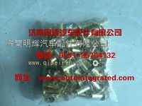 重汽豪沃（HOWO）轻卡配件铆钉